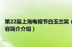 第22届上海电视节白玉兰奖（第27届上海电视节白玉兰奖相关内容简介介绍）