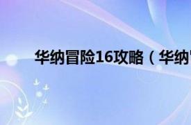 华纳冒险16攻略（华纳冒险17相关内容简介介绍）