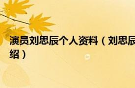 演员刘思辰个人资料（刘思辰 开心麻花签约演员相关内容简介介绍）