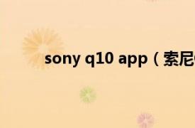 sony q10 app（索尼Q100相关内容简介介绍）