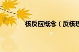 核反应概念（反核理念相关内容简介介绍）