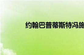 约翰巴普蒂斯特冯施韦泽相关内容简介介绍