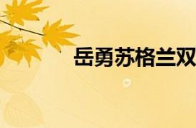 岳勇苏格兰双耳杯托内容简介