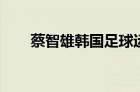 蔡智雄韩国足球运动员相关内容介绍