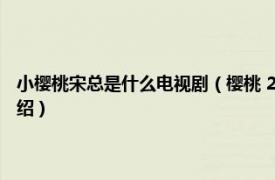 小樱桃宋总是什么电视剧（樱桃 2012年宋小宝主演电视剧相关内容简介介绍）