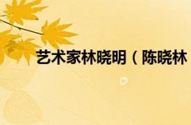 艺术家林晓明（陈晓林 艺术家相关内容简介介绍）