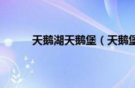 天鹅湖天鹅堡（天鹅堡一期相关内容简介介绍）