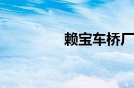 赖宝车桥厂相关内容简介