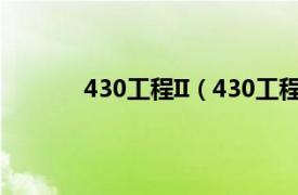 430工程II（430工程II型相关内容简介介绍）