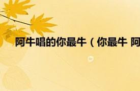 阿牛唱的你最牛（你最牛 阿牛演唱歌曲相关内容简介介绍）