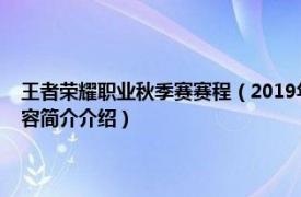 王者荣耀职业秋季赛赛程（2019年王者荣耀职业联赛秋季赛总决赛相关内容简介介绍）