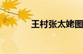 王村张太姥图墓相关内容简介