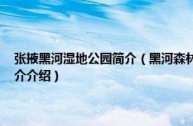 张掖黑河湿地公园简介（黑河森林公园 甘肃省张掖市森林公园相关内容简介介绍）