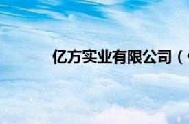 亿方实业有限公司（亿方相关内容简介介绍）