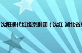 沈阳现代红缘京剧团（沈红 湖北省京剧院京剧演员沈红相关内容简介介绍）