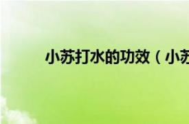 小苏打水的功效（小苏打水相关内容简介介绍）