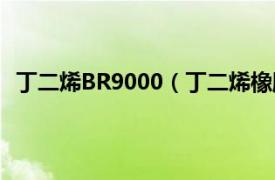 丁二烯BR9000（丁二烯橡胶BR9000相关内容简介介绍）