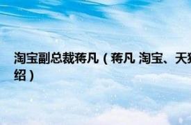 淘宝副总裁蒋凡（蒋凡 淘宝、天猫、阿里妈妈事业群总裁相关内容简介介绍）