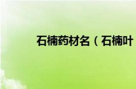 石楠药材名（石楠叶 中药相关内容简介介绍）