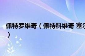 佩特罗维奇（佩特科维奇 塞尔维亚足球运动员相关内容简介介绍）