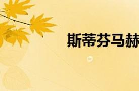 斯蒂芬马赫相关内容介绍