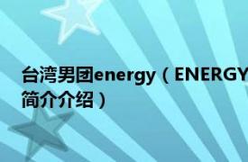 台湾男团energy（ENERGY 中国台湾流行乐男子组合相关内容简介介绍）