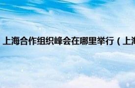 上海合作组织峰会在哪里举行（上海合作组织历次峰会相关内容简介介绍）