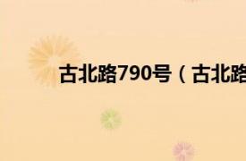 古北路790号（古北路77号相关内容简介介绍）