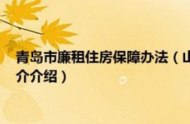 青岛市廉租住房保障办法（山东省廉租住房保障办法相关内容简介介绍）