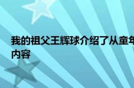 我的祖父王辉球介绍了从童年学徒到中华人民共和国成立的相关内容