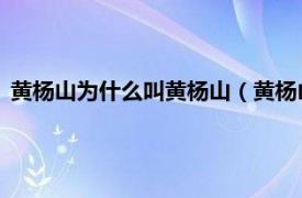 黄杨山为什么叫黄杨山（黄杨山 安阳黄杨山相关内容简介介绍）