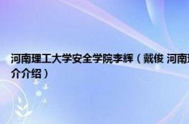 河南理工大学安全学院李辉（戴俊 河南理工大学安全科学与工程学院副教授相关内容简介介绍）