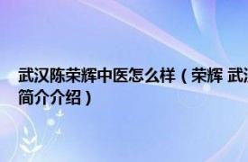 武汉陈荣辉中医怎么样（荣辉 武汉市中医医院老年病科主任医师相关内容简介介绍）