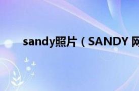 sandy照片（SANDY 网络红人相关内容简介介绍）