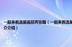 一起来看流星雨郑爽张翰（一起来看流星雨 2009年张翰、俞灏明主演电视剧相关内容简介介绍）