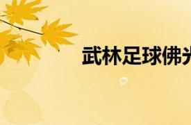 武林足球佛光相关内容简介