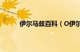 伊尔马兹百科（O伊尔马兹相关内容简介介绍）