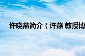 许晓燕简介（许燕 教授博士生导师相关内容简介介绍）