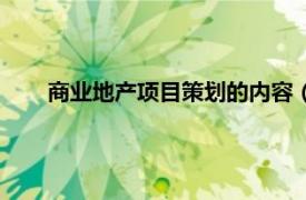 商业地产项目策划的内容（商业地产相关内容简介介绍）