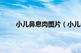 小儿鼻息肉图片（小儿鼻息肉相关内容简介介绍）