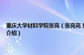 重庆大学材料学院张亮（张亮亮 重庆大学土木工程学院教授相关内容简介介绍）