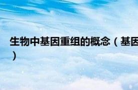 生物中基因重组的概念（基因重组 生物学名词相关内容简介介绍）