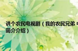 讲个农民电视剧（我的农民兄弟 中国大陆反映农村题材的电视剧相关内容简介介绍）