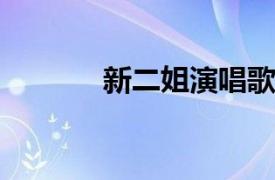 新二姐演唱歌曲相关内容简介