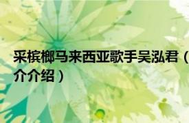 采槟榔马来西亚歌手吴泓君（采槟榔 吴泓君演唱歌曲相关内容简介介绍）