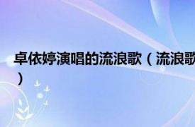 卓依婷演唱的流浪歌（流浪歌 卓依婷演唱歌曲相关内容简介介绍）