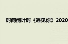 时间倒计时《遇见你》2020年李宏毅、石狮主演电视剧介绍