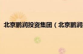 北京鹏润投资集团（北京鹏润投资有限公司相关内容简介介绍）