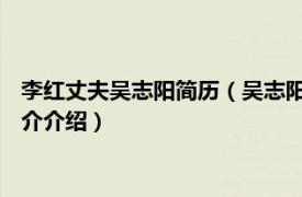 李红丈夫吴志阳简历（吴志阳 红相股份副董事长董事相关内容简介介绍）