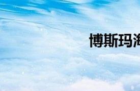 博斯玛海盗镜简介